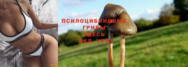 mix Беломорск