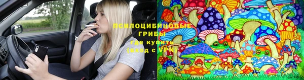 стафф Белокуриха